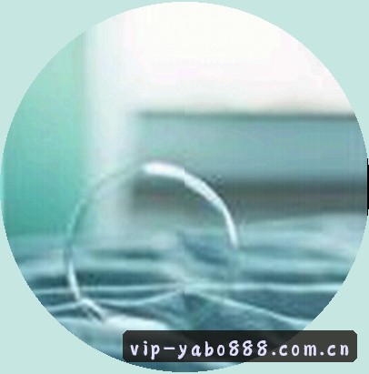 刘洋